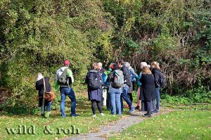 Große botanische Exkursion Wildpflanzen am Schönbuchrand @ Weil im Schönbuch