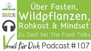 Podcast Vmail fuer Dich 107