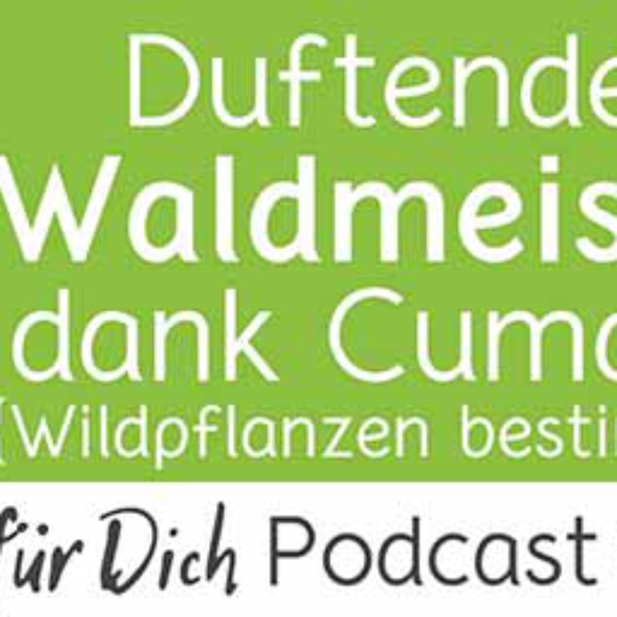 Podcast Vmail 111 Waldmeister