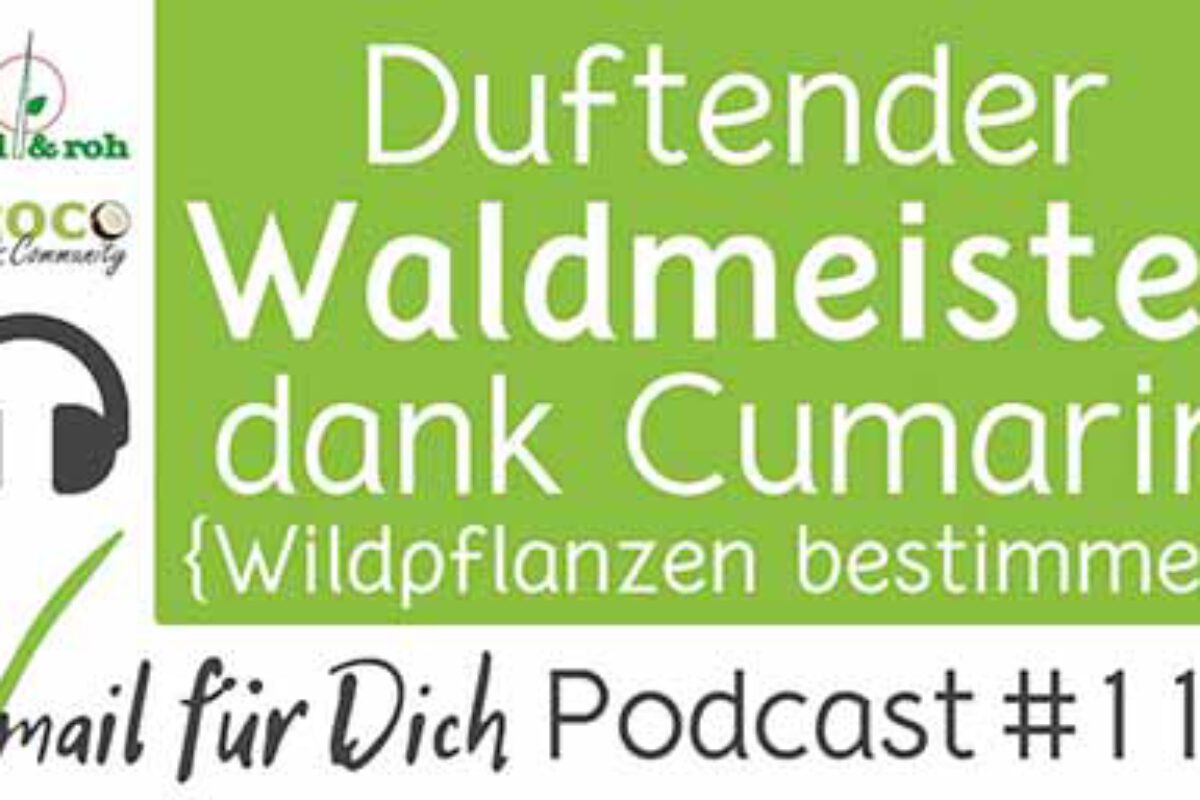 Podcast Vmail 111 Waldmeister