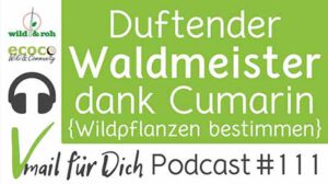 Podcast Vmail 111 Waldmeister