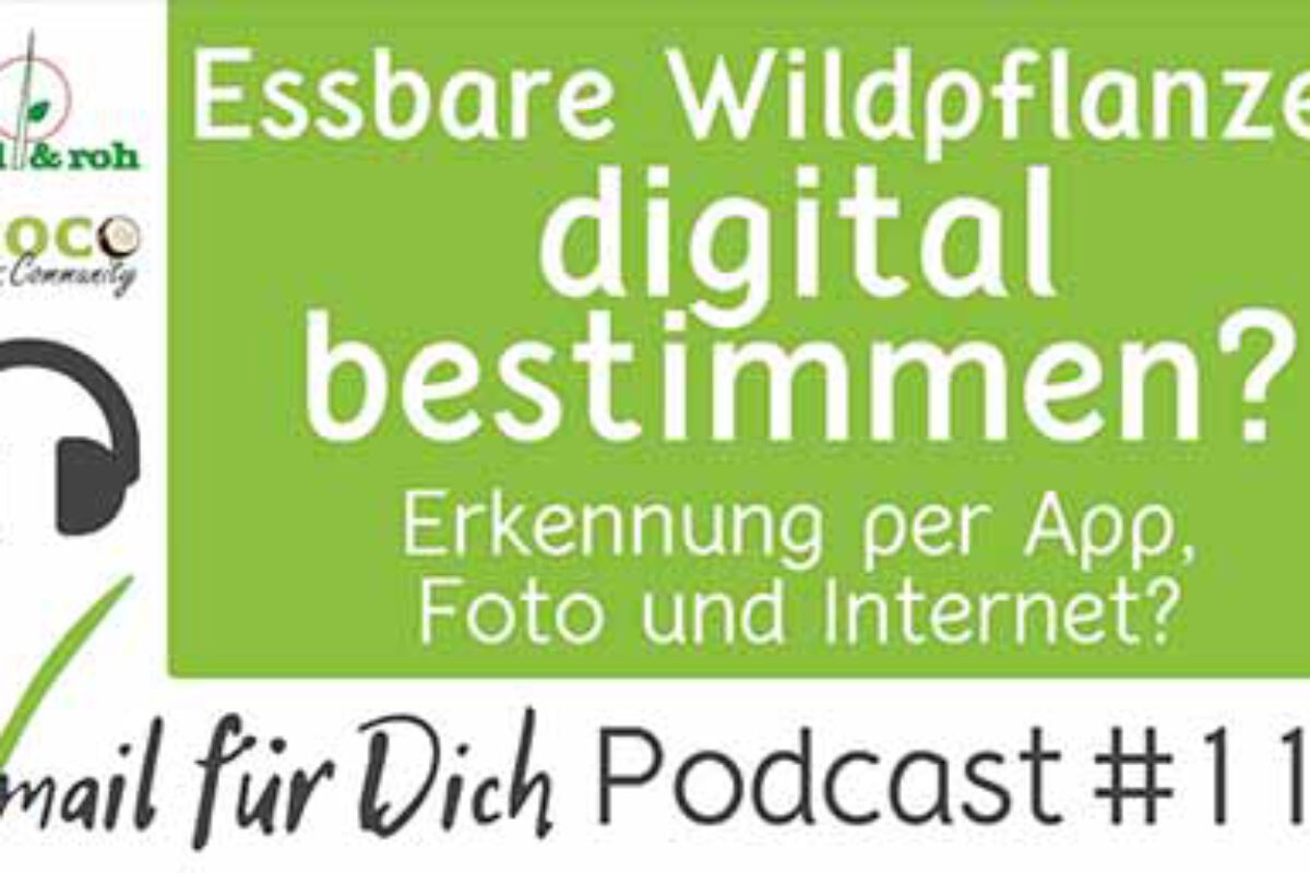 Podcast Vmail 112