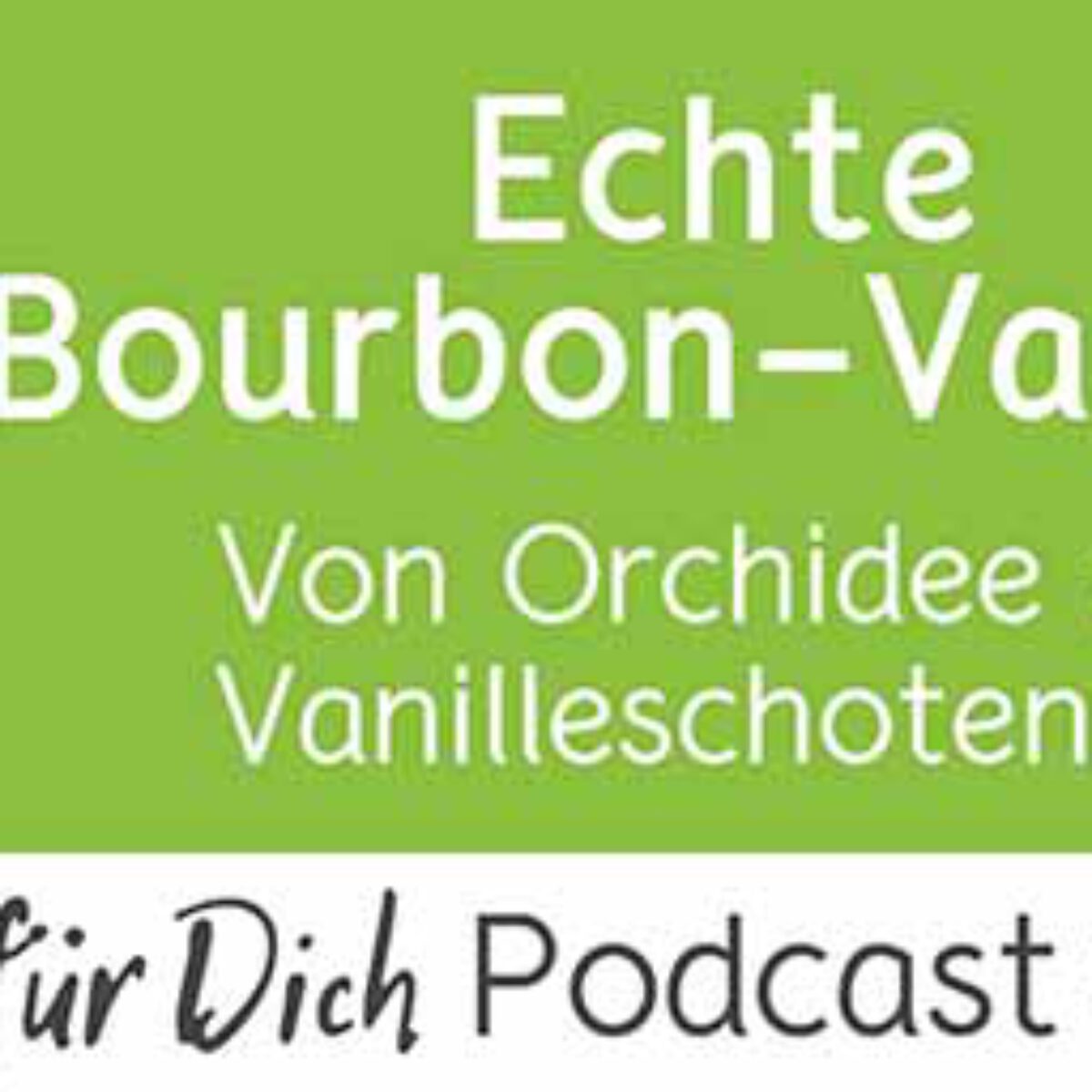 Echte Bourbon-Vanille