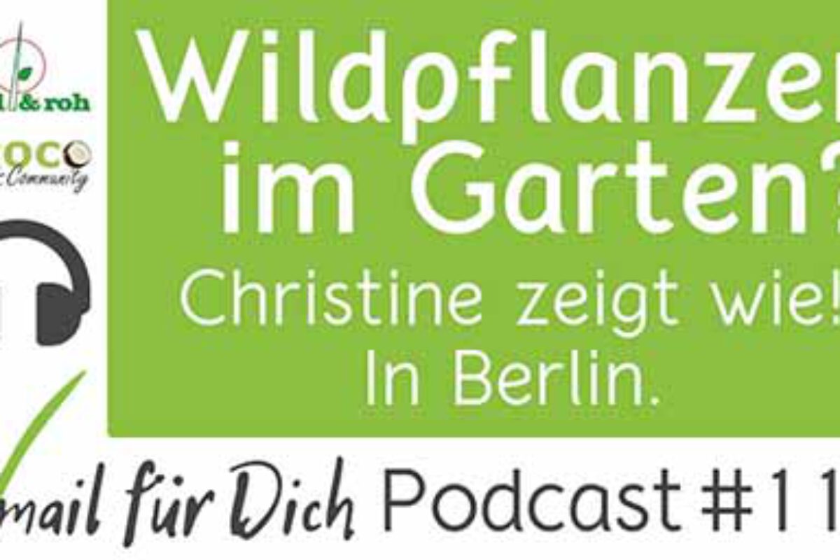 Podcast Vmail 114