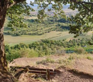 Botanischer Genuss-Wandertag mit Rohkost - unterwegs zwischen Alb und Schwarzwald @ Rottenburg