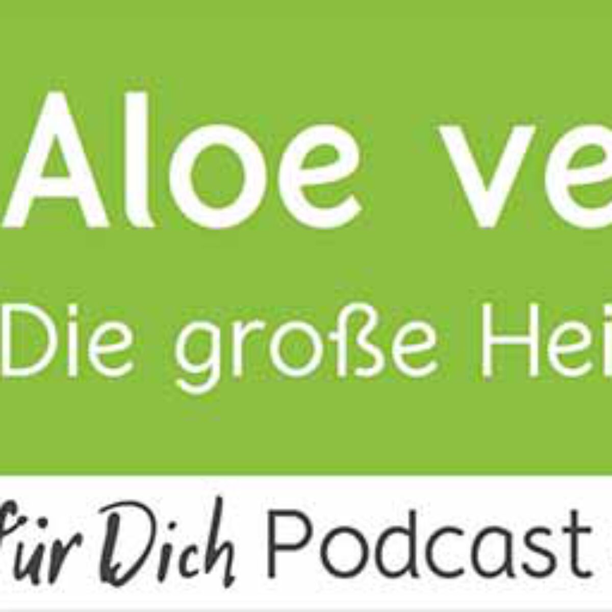 Podcast Vmail 124