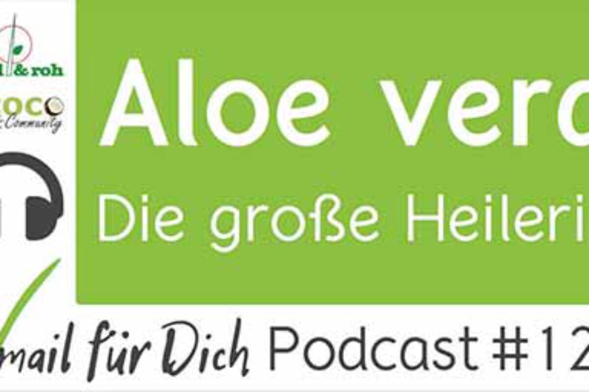Podcast Vmail 124