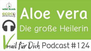 Podcast Vmail 124