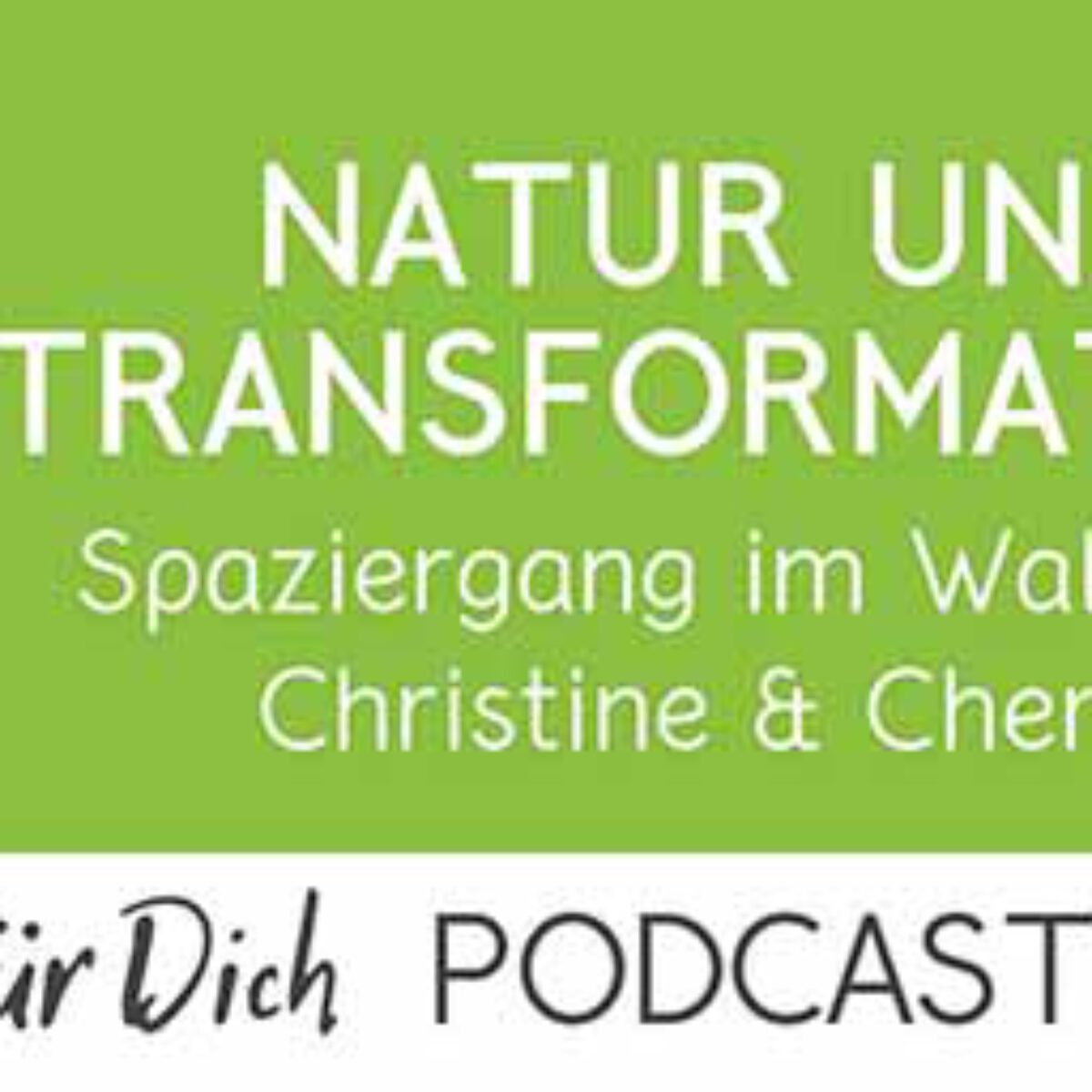 Podcast Vmail 125