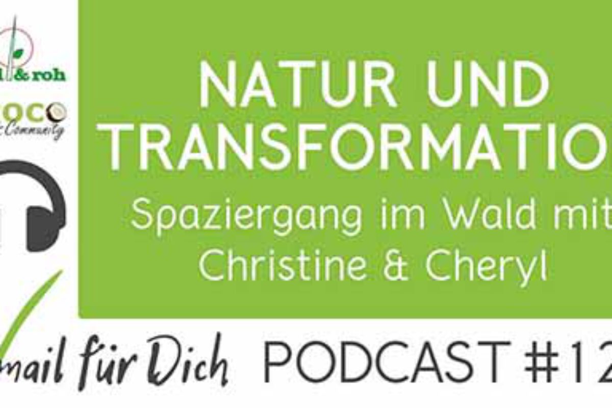 Podcast Vmail 125