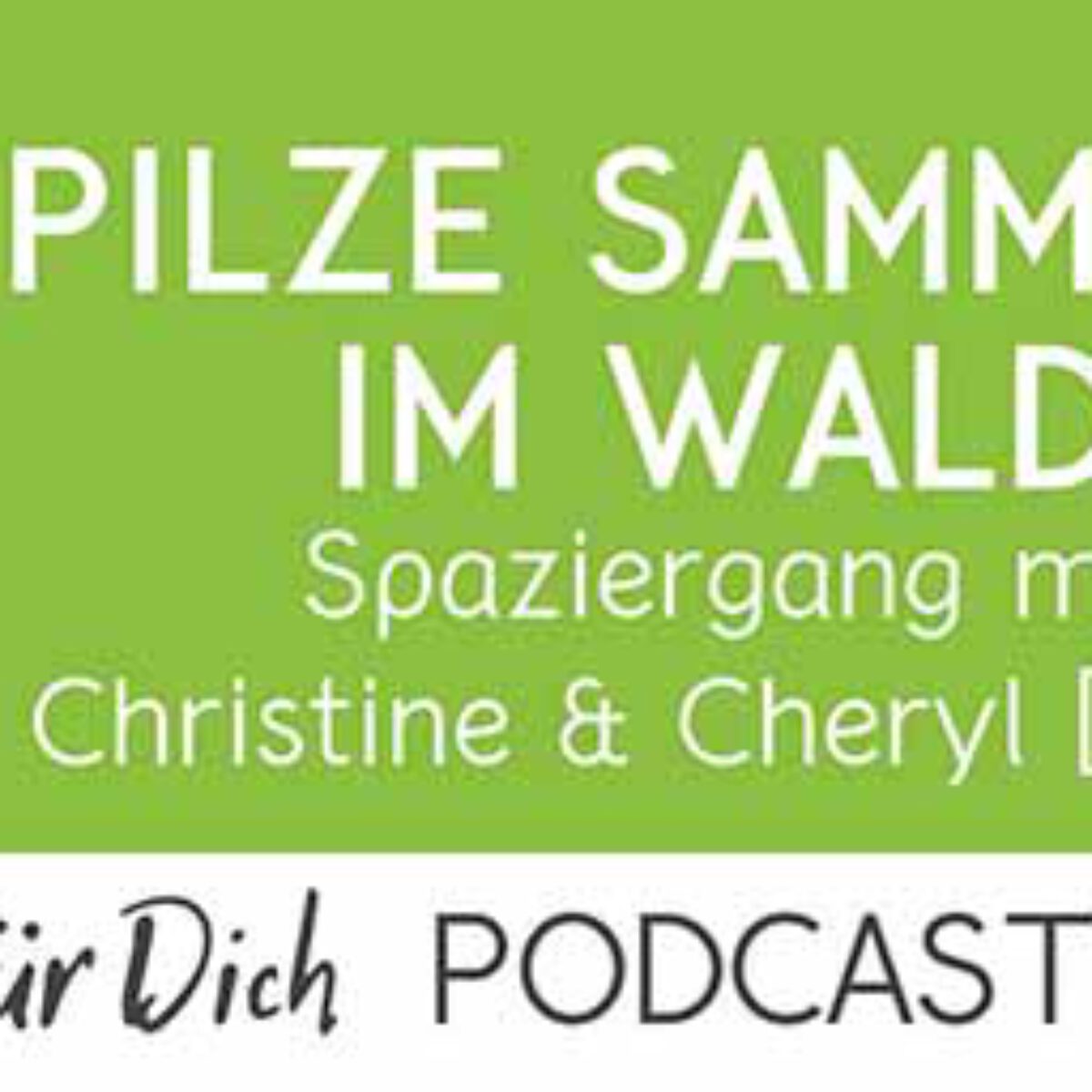 Podcast Vmail 126