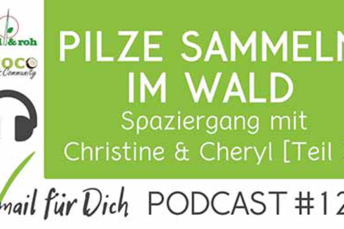 Podcast Vmail 126