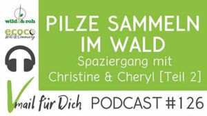 Podcast Vmail 126