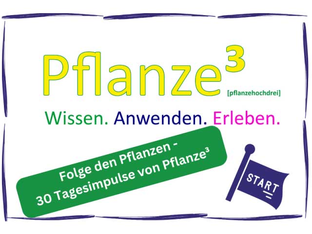 Pflanzehoch3
