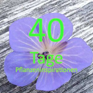 40 Tage - Pflanzeninspirationen in der Fastenzeit (Einstieg jederzeit) @ online