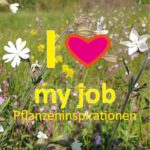 Pflanzeninspiration