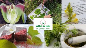 Kostenfreie Online-Infoveranstaltung zu den Jahresmodulen 2026/27 @ online